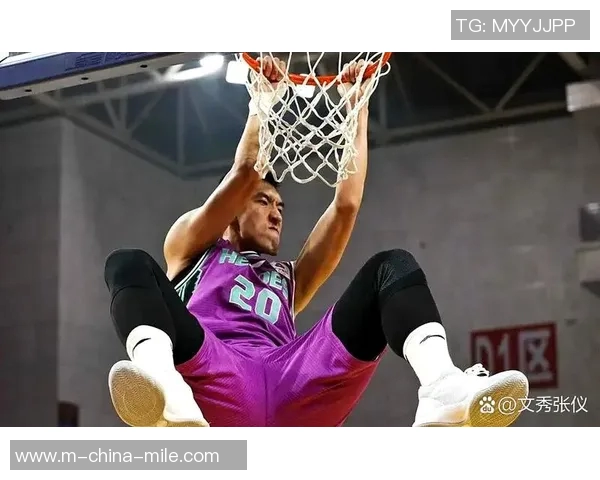 陶汉林:从篮球场上的拼搏到生活中的坚持与梦想追逐之路